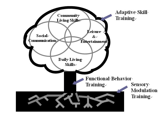 Framework of Life Adaptation Program for Adults with ASD